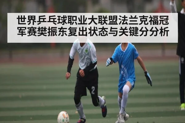 世界乒乓球职业大联盟法兰克福冠军赛樊振东复出状态与关键分分析